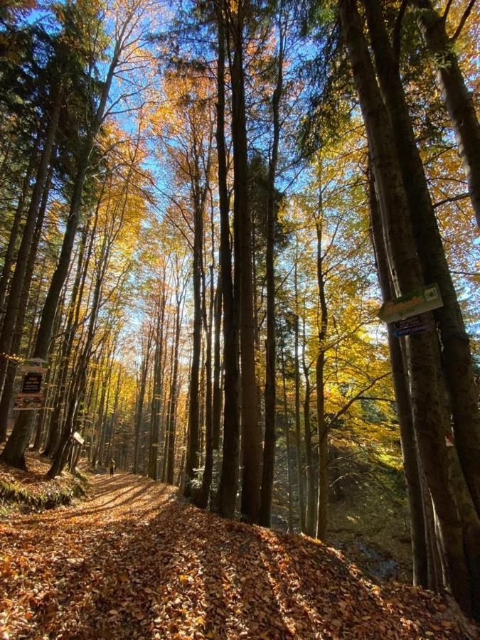 Certovka Trojka - Apartman Harrachov Luaran gambar